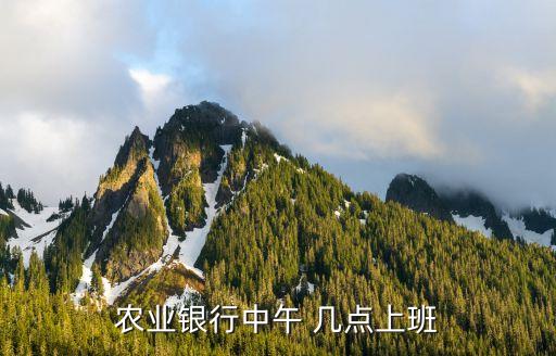 農業(yè)銀行中午 幾點上班