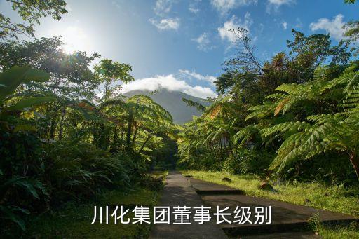  川化集團(tuán)董事長(zhǎng)級(jí)別
