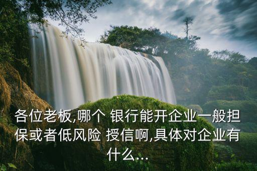 各位老板,哪個 銀行能開企業(yè)一般擔?；蛘叩惋L險 授信啊,具體對企業(yè)有什么...