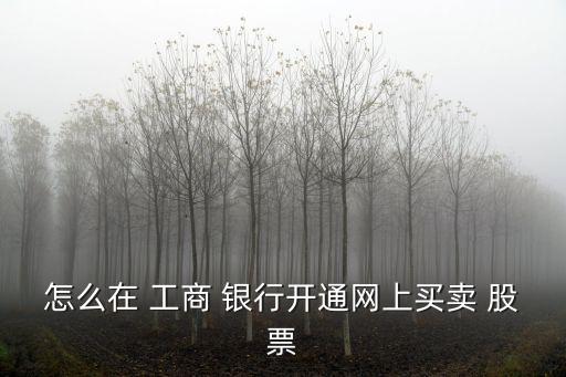 怎么在 工商 銀行開(kāi)通網(wǎng)上買賣 股票