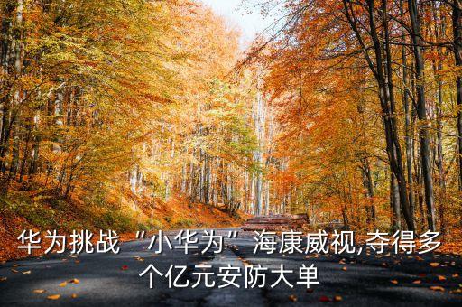華為挑戰(zhàn)“小華為”?？低?奪得多個億元安防大單
