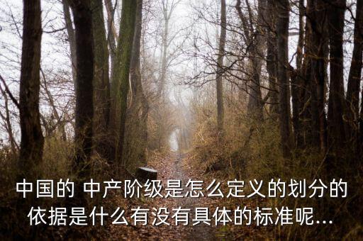 中國的 中產階級是怎么定義的劃分的依據是什么有沒有具體的標準呢...
