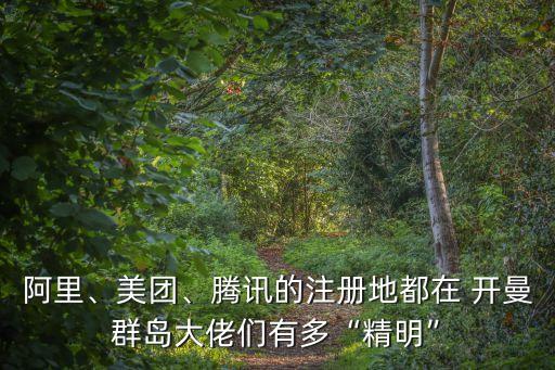 阿里、美團(tuán)、騰訊的注冊地都在 開曼群島大佬們有多“精明”