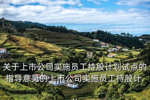 關(guān)于上市公司實(shí)施員工持股計(jì)劃試點(diǎn)的指導(dǎo)意見的上市公司實(shí)施員工持股計(jì)...