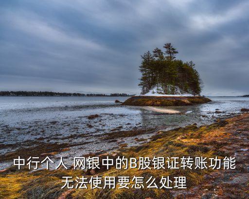 中國銀行網(wǎng)銀不能轉帳
