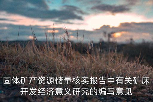 金礦投資分析,開(kāi)金礦最少投資多少錢