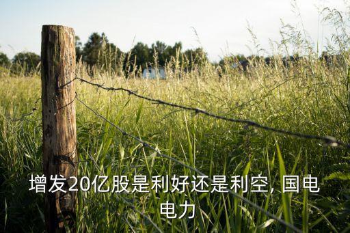 國電電力股票發(fā)行價(jià)是多少