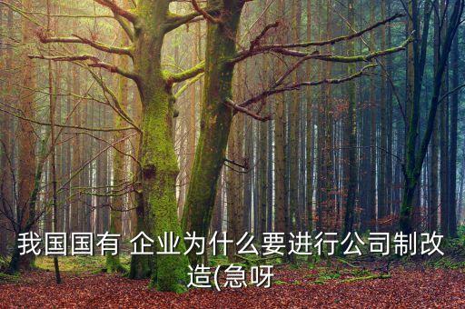 中國企業(yè)為什么要轉型,企業(yè)為什么要進行數(shù)字化轉型