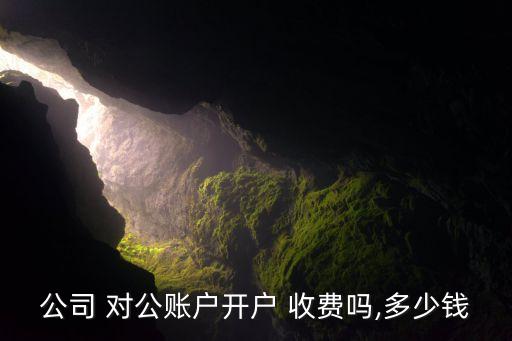 公司 對(duì)公賬戶開(kāi)戶 收費(fèi)嗎,多少錢