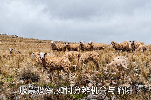  股票投資,如何分辨機(jī)會與陷阱