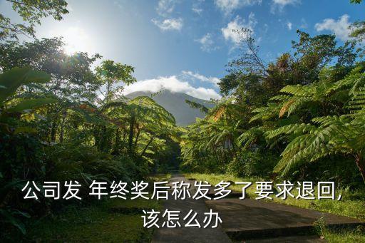 公司發(fā) 年終獎(jiǎng)后稱(chēng)發(fā)多了要求退回,該怎么辦