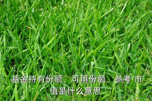  基金持有份額、可用份額、參考 市值是什么意思