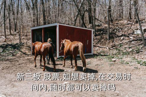  新三板 股票,如想賣(mài)掉,在交易時(shí)間內(nèi),隨時(shí)都可以賣(mài)掉嗎