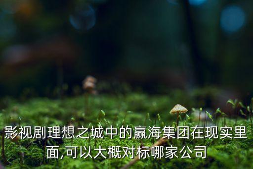 影視劇理想之城中的贏海集團(tuán)在現(xiàn)實(shí)里面,可以大概對標(biāo)哪家公司