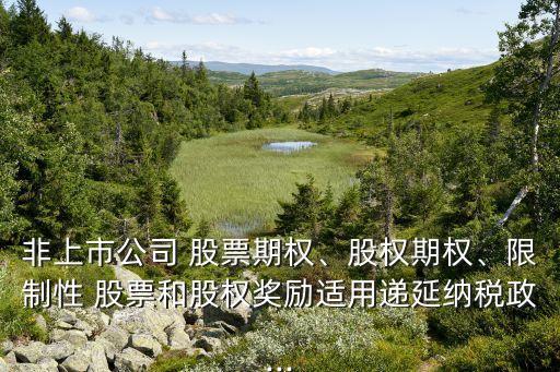 非上市公司 股票期權(quán)、股權(quán)期權(quán)、限制性 股票和股權(quán)獎勵適用遞延納稅政...