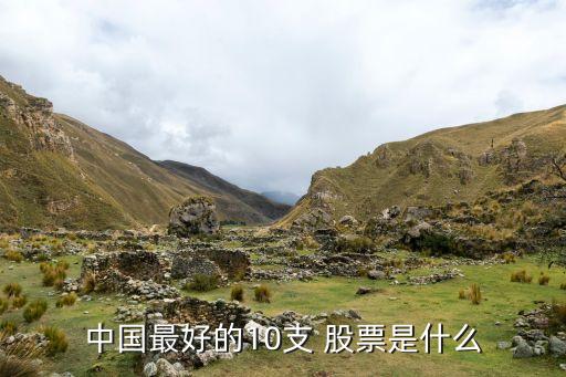 中國(guó)最好的10支 股票是什么