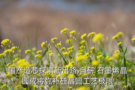 國產(chǎn)造芯探索新出路,自研 石墨烯晶圓或?qū)浹a(bǔ)硅晶圓工藝極限
