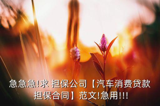 急急急!求 擔(dān)保公司【汽車(chē)消費(fèi)貸款 擔(dān)保合同】范文!急用!!!