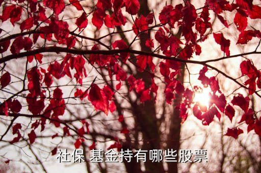 社?；鹚囊蝗M合,全國(guó)社保基金四一三組合最新持股明細(xì)