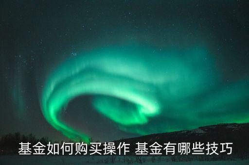 基金如何購(gòu)買(mǎi)操作 基金有哪些技巧