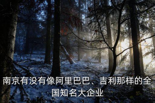 南京有沒(méi)有像阿里巴巴、吉利那樣的全國(guó)知名大企業(yè)