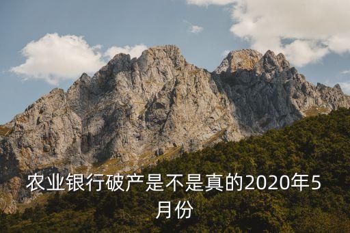 中國(guó)農(nóng)業(yè)銀行會(huì)倒閉嗎