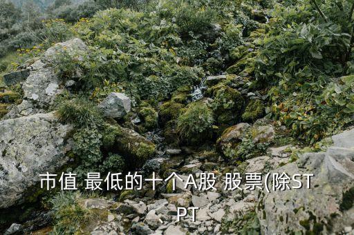 市值 最低的十個(gè)A股 股票(除ST、PT