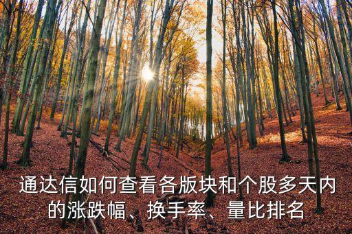  通達信如何查看各版塊和個股多天內(nèi)的漲跌幅、換手率、量比排名