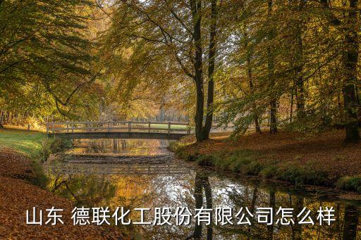 北京德聯(lián)資本,德聯(lián)資本董事總經理