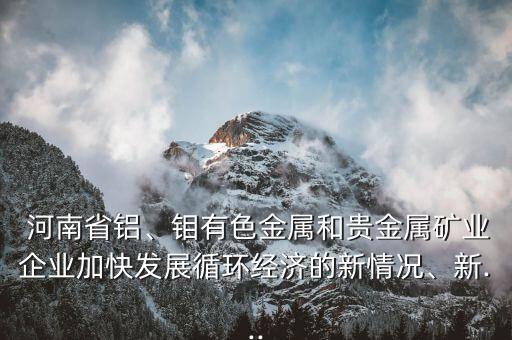  河南省鋁、鉬有色金屬和貴金屬礦業(yè)企業(yè)加快發(fā)展循環(huán)經(jīng)濟(jì)的新情況、新...