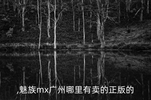 ,魅族mx廣州哪里有賣(mài)的正版的