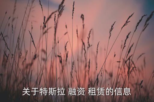 關于特斯拉 融資 租賃的信息