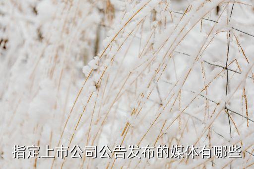 中國證券報手機(jī)版,今日證券新聞