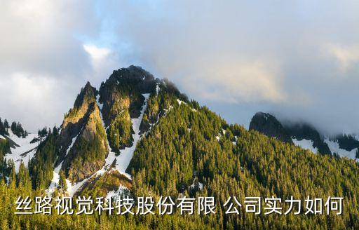 絲路視覺(jué)科技股份有限 公司實(shí)力如何