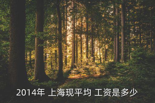 2014年 上?，F(xiàn)平均 工資是多少