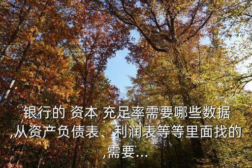  銀行的 資本 充足率需要哪些數(shù)據(jù),從資產(chǎn)負(fù)債表、利潤(rùn)表等等里面找的,需要...