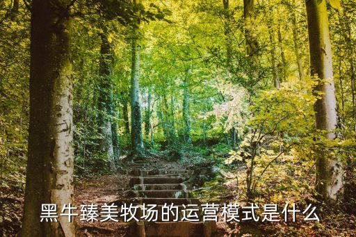  黑牛臻美牧場的運(yùn)營模式是什么