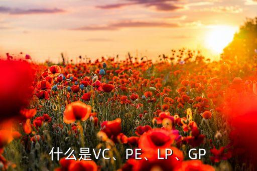 什么是VC、PE、LP、GP