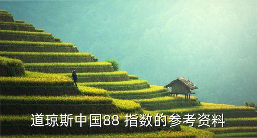 道瓊斯中國88 指數的參考資料