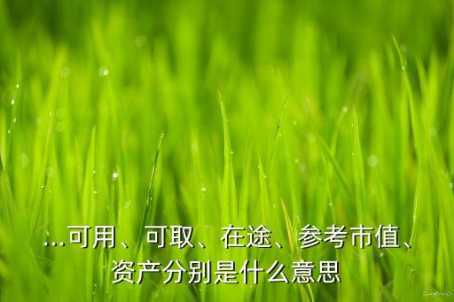 ...可用、可取、在途、參考市值、資產(chǎn)分別是什么意思