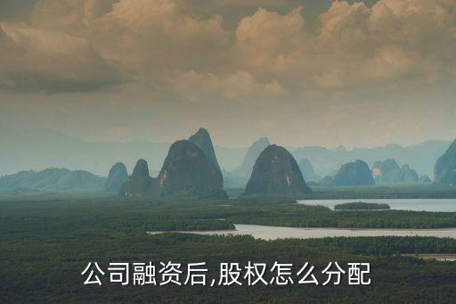公司融資后,股權怎么分配