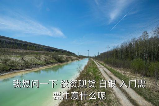 白銀投資技巧入門(mén)篇,現(xiàn)貨白銀投資技巧