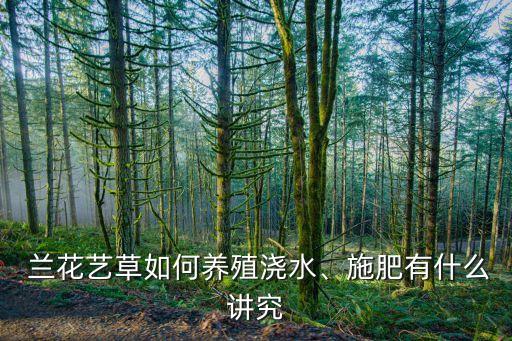  蘭花藝草如何養(yǎng)殖澆水、施肥有什么講究