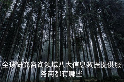 全球研究咨詢(xún)領(lǐng)域八大信息數(shù)據(jù)提供服務(wù)商都有哪些