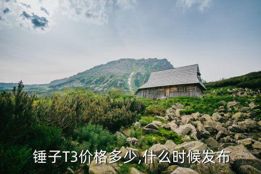  錘子T3價格多少,什么時候發(fā)布