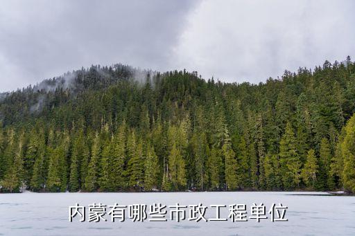 內蒙有哪些市政工程單位
