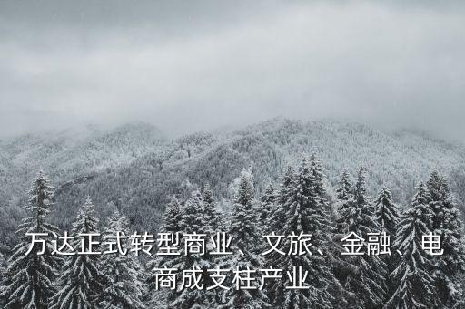  萬達(dá)正式轉(zhuǎn)型商業(yè)、文旅、金融、電商成支柱產(chǎn)業(yè)