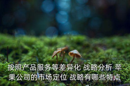 按照產(chǎn)品服務(wù)等差異化 戰(zhàn)略分析 蘋果公司的市場(chǎng)定位 戰(zhàn)略有哪些特點(diǎn)