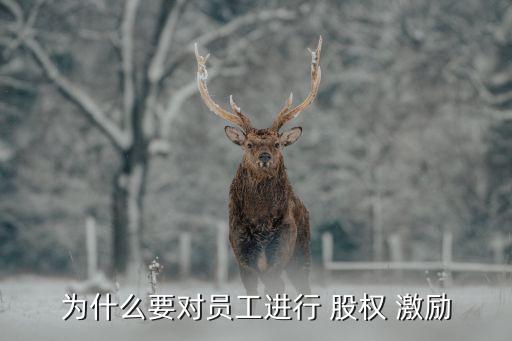 為什么要對員工進(jìn)行 股權(quán) 激勵(lì)