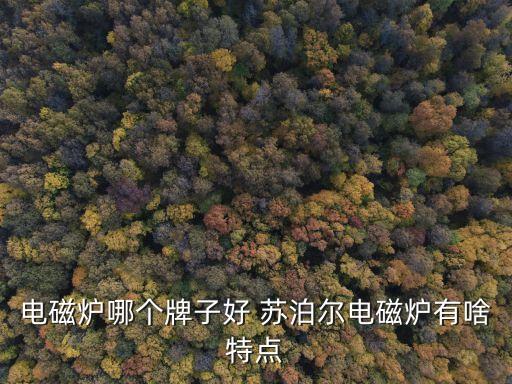 電磁爐哪個牌子好 蘇泊爾電磁爐有啥特點(diǎn)